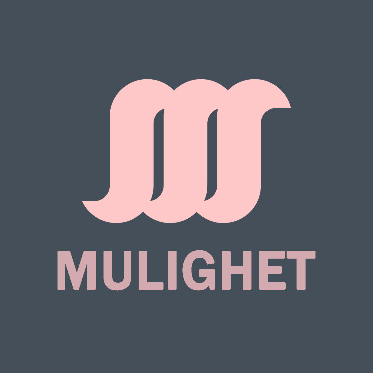 Mulighet